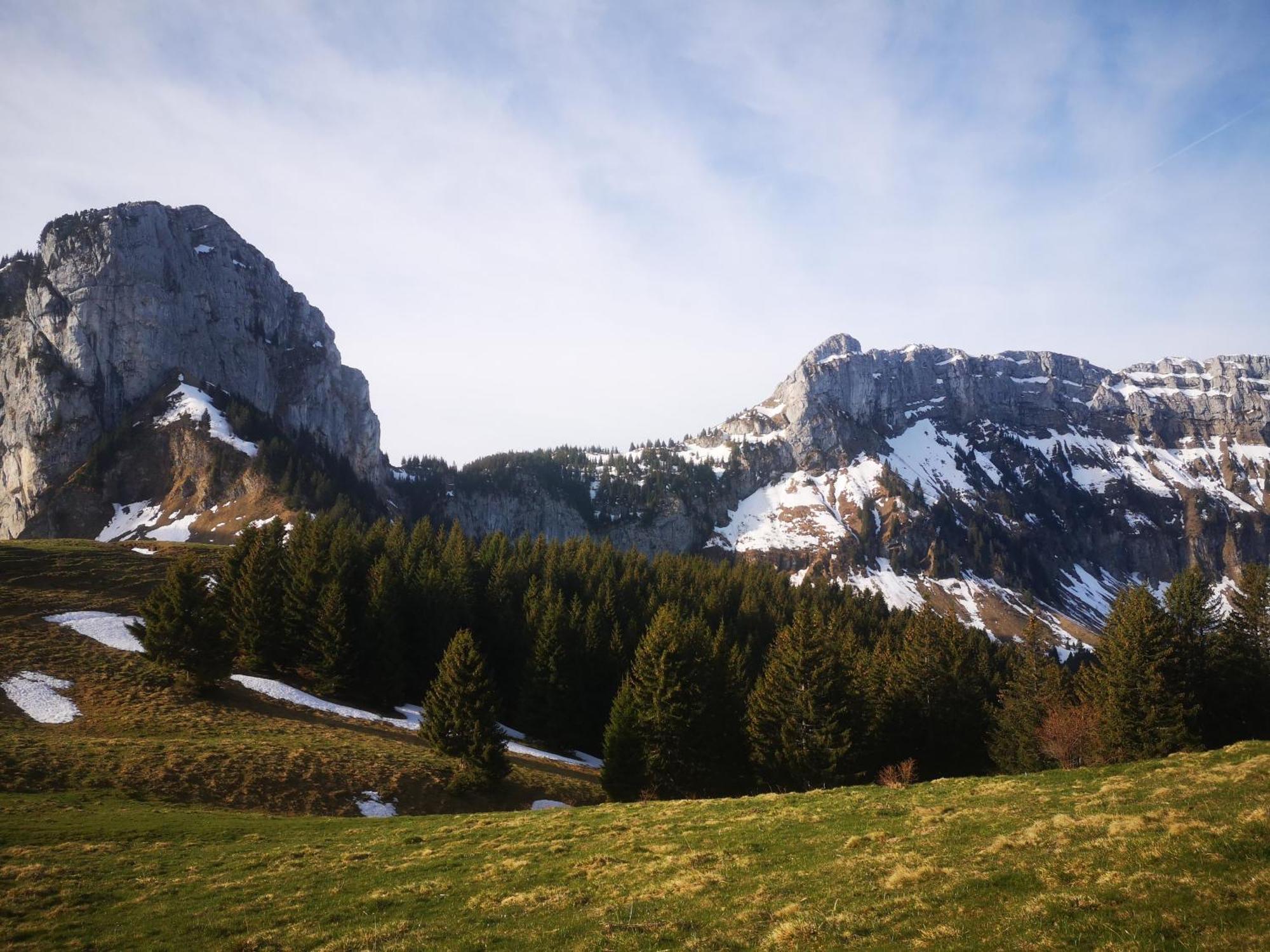 Domaine De La Griffe - 