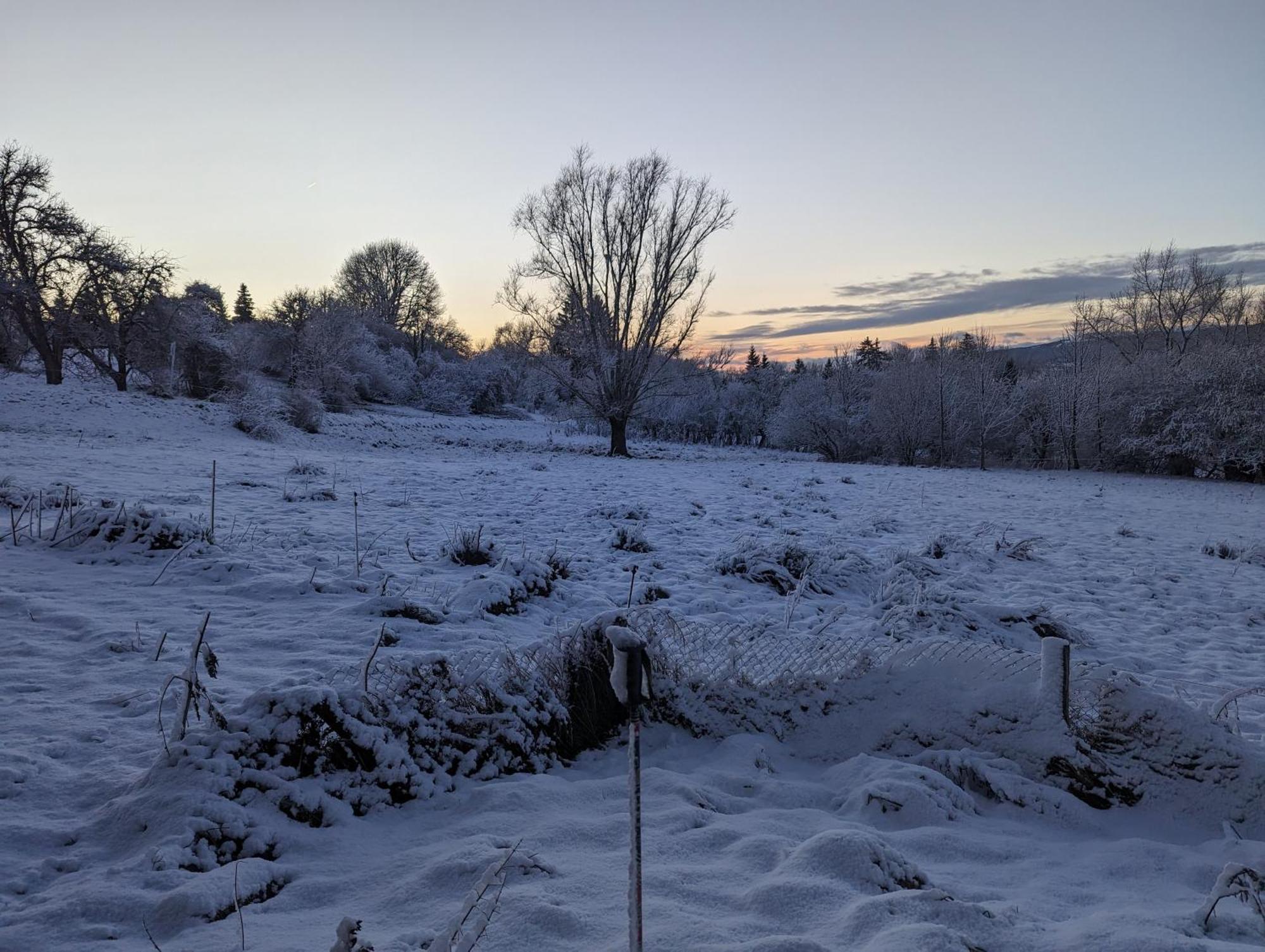 Domaine De La Griffe - 